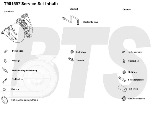 Charger, charging (supercharged/turbocharged) (T981557)