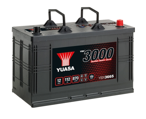 Starter Battery (B100116)