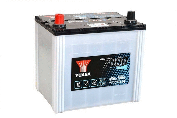 Starter Battery (B100017)