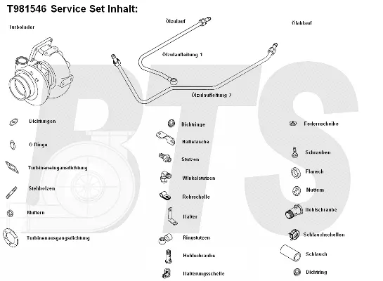 Charger, charging (supercharged/turbocharged) (T981546)