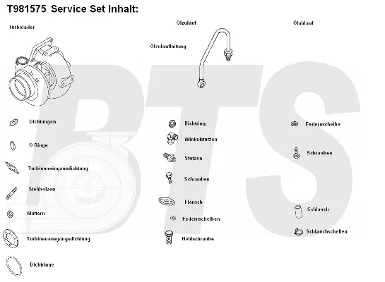 Charger, charging (supercharged/turbocharged) (T981575)