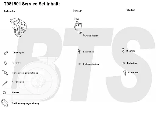 Charger, charging (supercharged/turbocharged) (T981501)