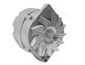 Alternator (L611603)