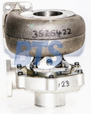 Charger, charging (supercharged/turbocharged)