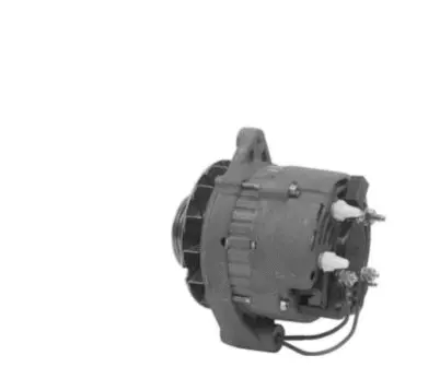 Alternator (L610921)