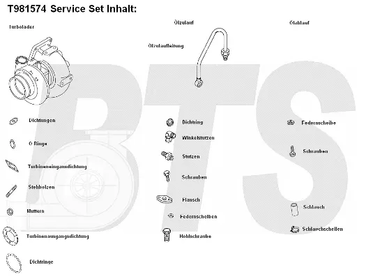Charger, charging (supercharged/turbocharged) (T981574)