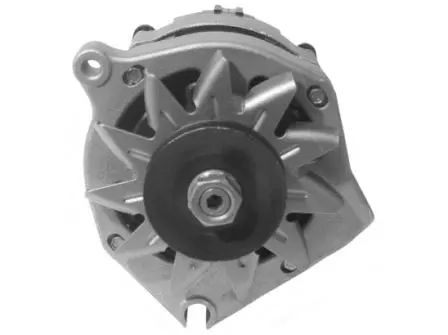 Alternator (L610044)