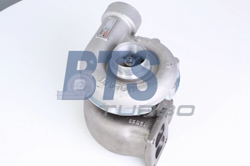 Charger, charging (supercharged/turbocharged) (T911470)