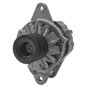 Alternator (L611390)