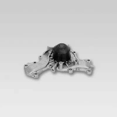Water Pump, engine cooling (P7724)