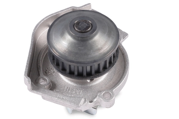 Water Pump, engine cooling (P1064)