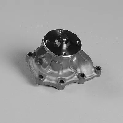 Water Pump, engine cooling (P7984)