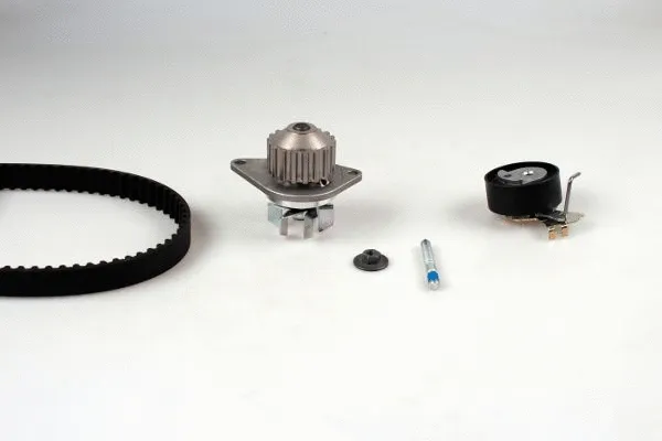 Water Pump & Timing Belt Kit (PK08461)