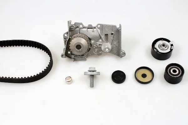 Water Pump & Timing Belt Kit (PK08421)