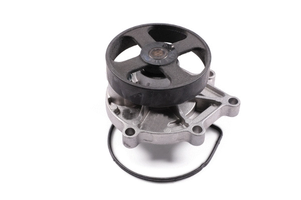 Water Pump, engine cooling (P428)