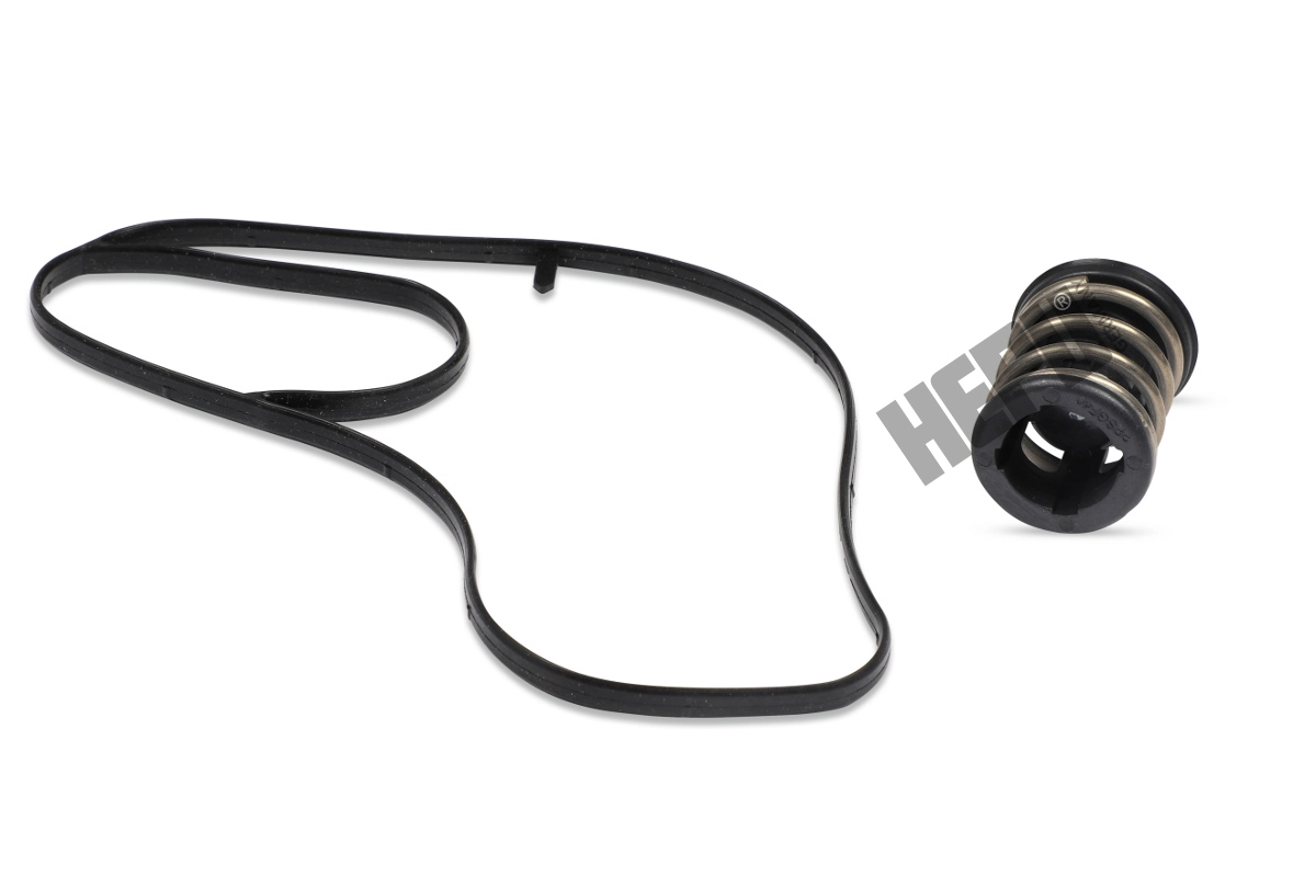 Thermostat, coolant (TM1244)