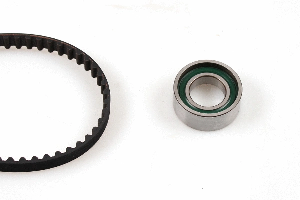 Timing Belt Kit (20-1095)