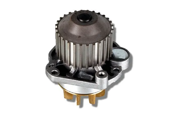 Water Pump, engine cooling (P805)