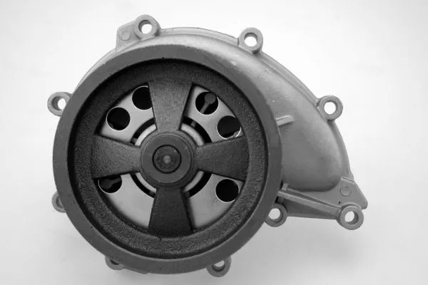 Water Pump, engine cooling (P9916)