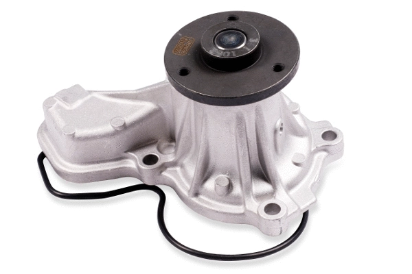 Water Pump, engine cooling (P7842)