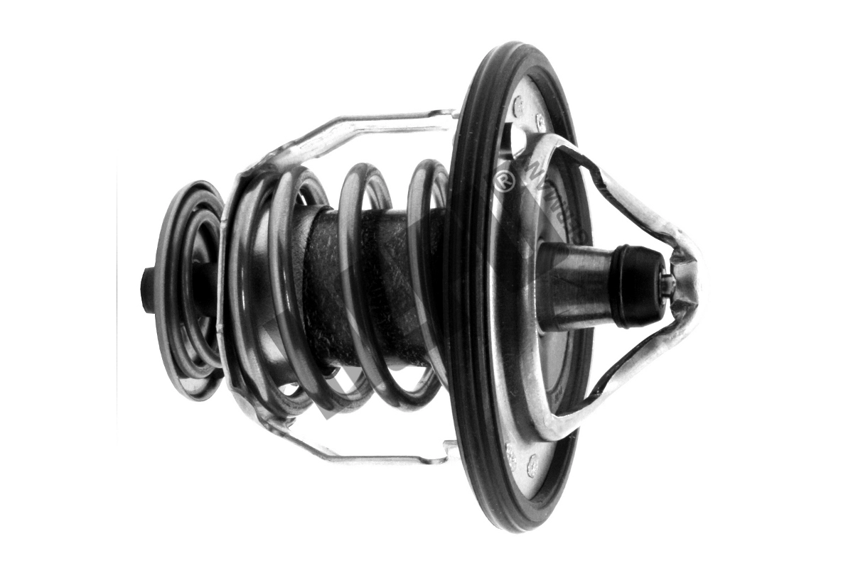 Thermostat, coolant (TM1289)