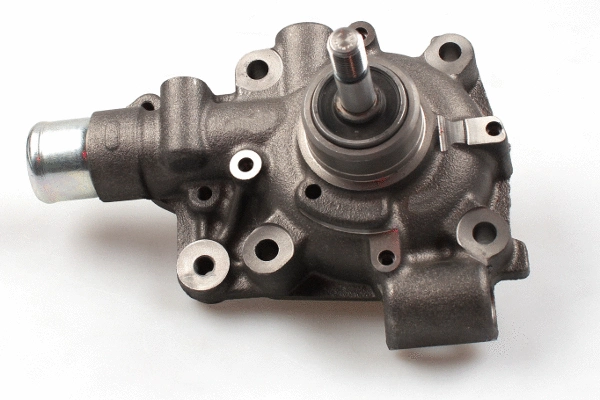 Water Pump, engine cooling (P1161)