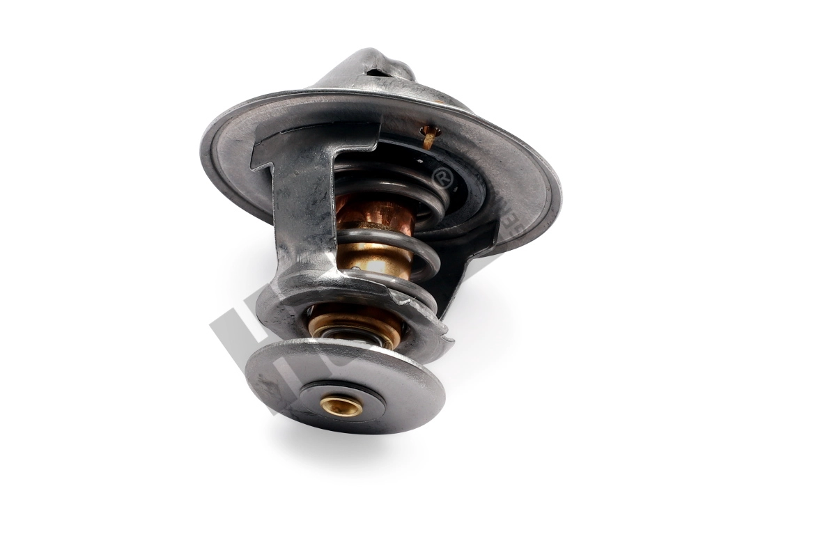 Thermostat, coolant
