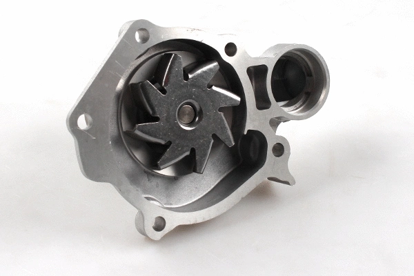 Water Pump, engine cooling (P7765)