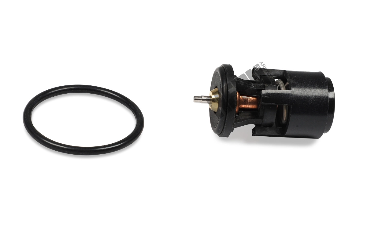 Thermostat, coolant (TM1302)