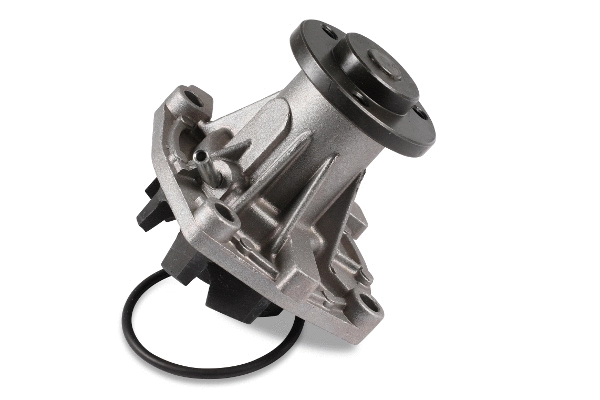 Water Pump, engine cooling (P1081)