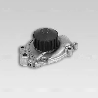 Water Pump, engine cooling (P7804)