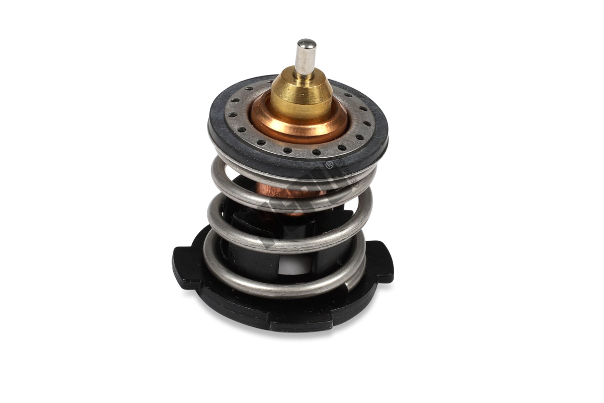 Thermostat, coolant (TM1242)