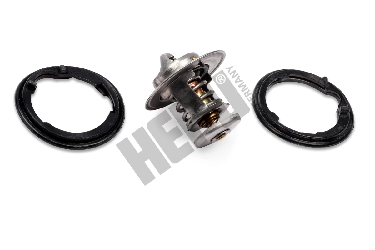 Thermostat, coolant (TM1319)