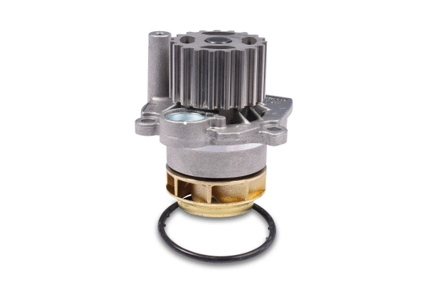 Water Pump, engine cooling (P565)