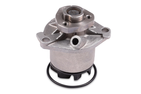 Water Pump, engine cooling (P524)