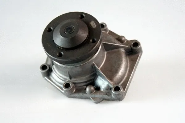 Water Pump, engine cooling (P9902)