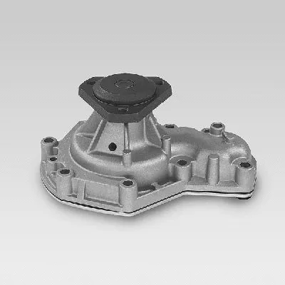 Water Pump, engine cooling (P820)