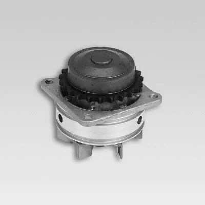 Water Pump, engine cooling (P737)
