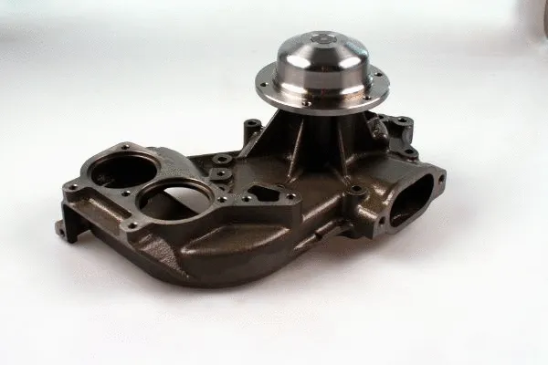 Water Pump, engine cooling (P1556)