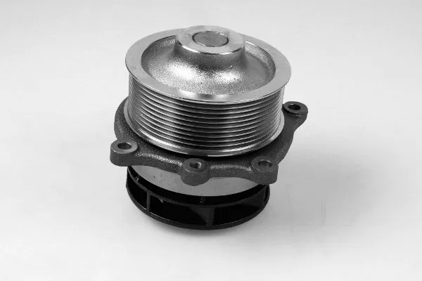 Water Pump, engine cooling (P1204)