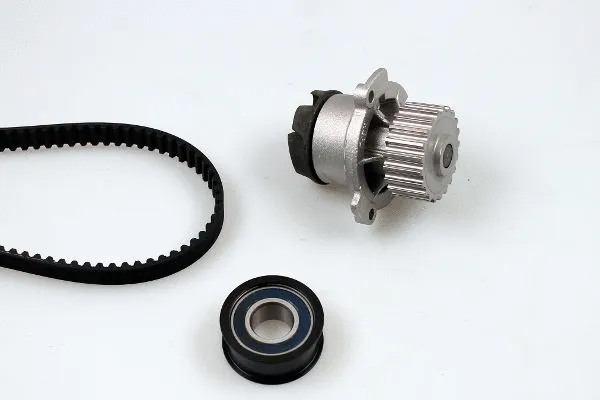 Water Pump & Timing Belt Kit (PK06220)