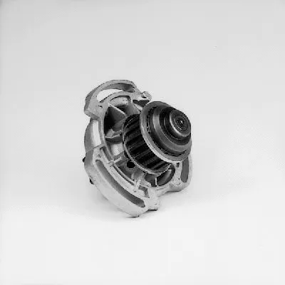 Water Pump, engine cooling (P521)