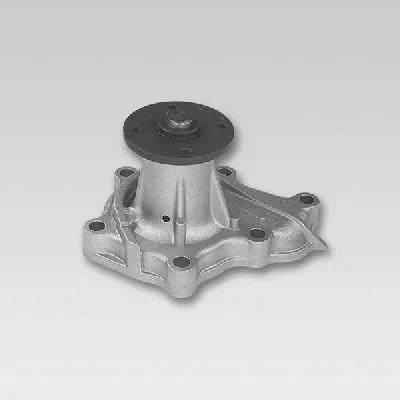 Water Pump, engine cooling (P744)