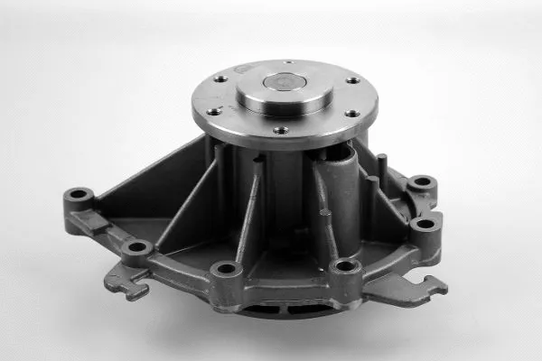 Water Pump, engine cooling (P9958)