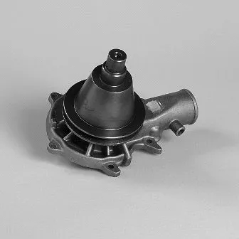 Water Pump, engine cooling (P308)
