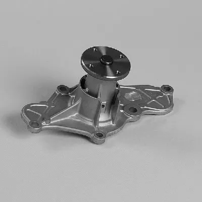 Water Pump, engine cooling (P7116)