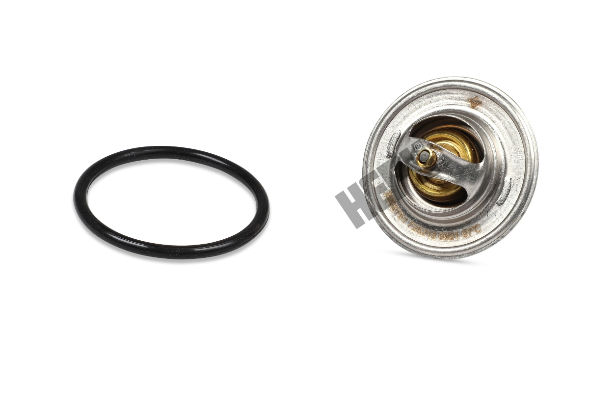 Thermostat, coolant (TM1243)