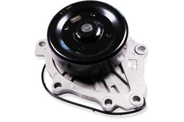 Water Pump, engine cooling (P7789)