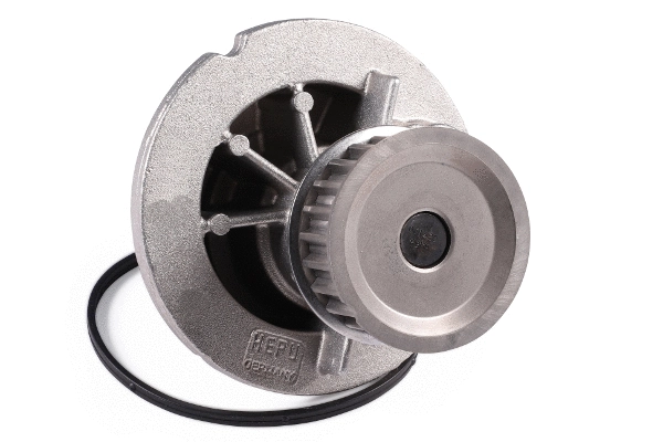 Water Pump, engine cooling (P324)