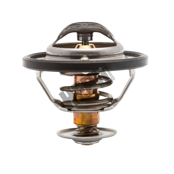 Thermostat, coolant (TM1290)